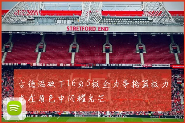 古德温砍下16分5板全力争抢篮板力求在角色中闪耀光芒