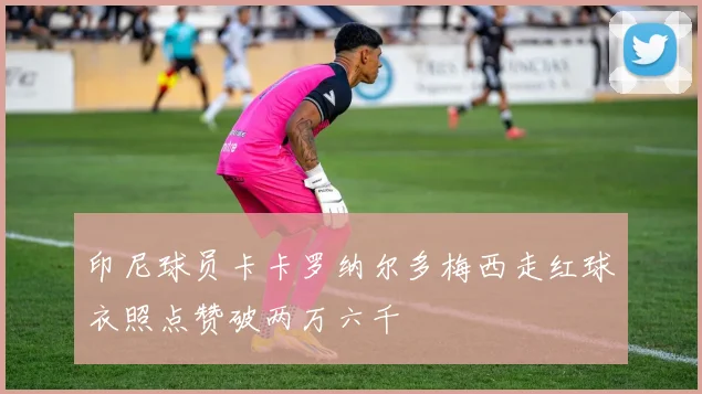 印尼球员卡卡罗纳尔多梅西走红球衣照点赞破两万六千