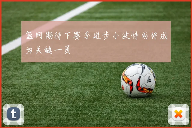 篮网期待下赛季进步小波特或将成为关键一员
