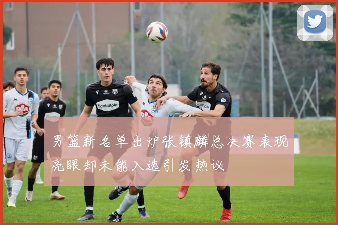 男篮新名单出炉张镇麟总决赛表现亮眼却未能入选引发热议